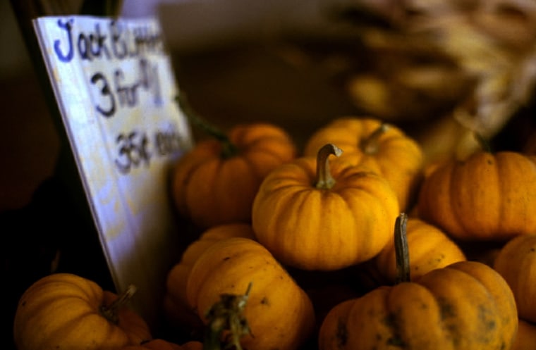 Pumpkins for sale at the Vanvoorhis Farm- Pittsford NY
